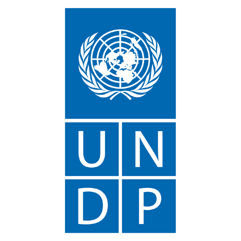 Birleşmiş Milletler Kalkınma Programı